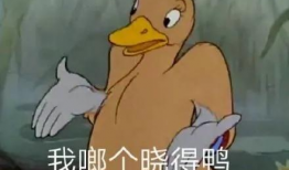 绯闻女孩 表情包,表情包里的时尚与青春