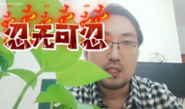 韩国尹姓女网红,网络红人的崛起与影响力