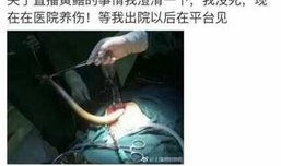黄鳝女主播图片,揭秘网络直播的暗流涌动