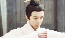 秦国男明星,秦国男明星风采掠影