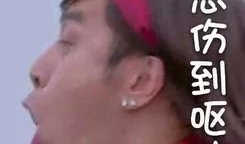 修成正果的表情包,笑对人生，共享喜悦瞬间