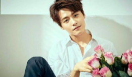 马天宇的姐姐照片,优雅气质，美丽动人