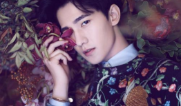 杨洋新娱乐,魅力四溢，星光璀璨的娱乐圈新贵