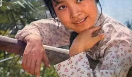 陈冲老公个人资料