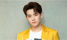 任豪跟网红,共创时尚潮流新篇章