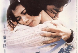 新不了情演员表,实力派明星齐聚一堂，演绎感人至深的爱情故事