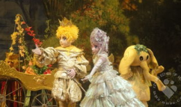 睡美人图片,揭秘睡美人的奇幻梦境