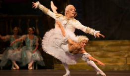 睡美人图片,揭秘睡美人的奇幻梦境