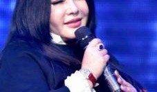 千百惠个人资料,才情与美貌并重的音乐才女